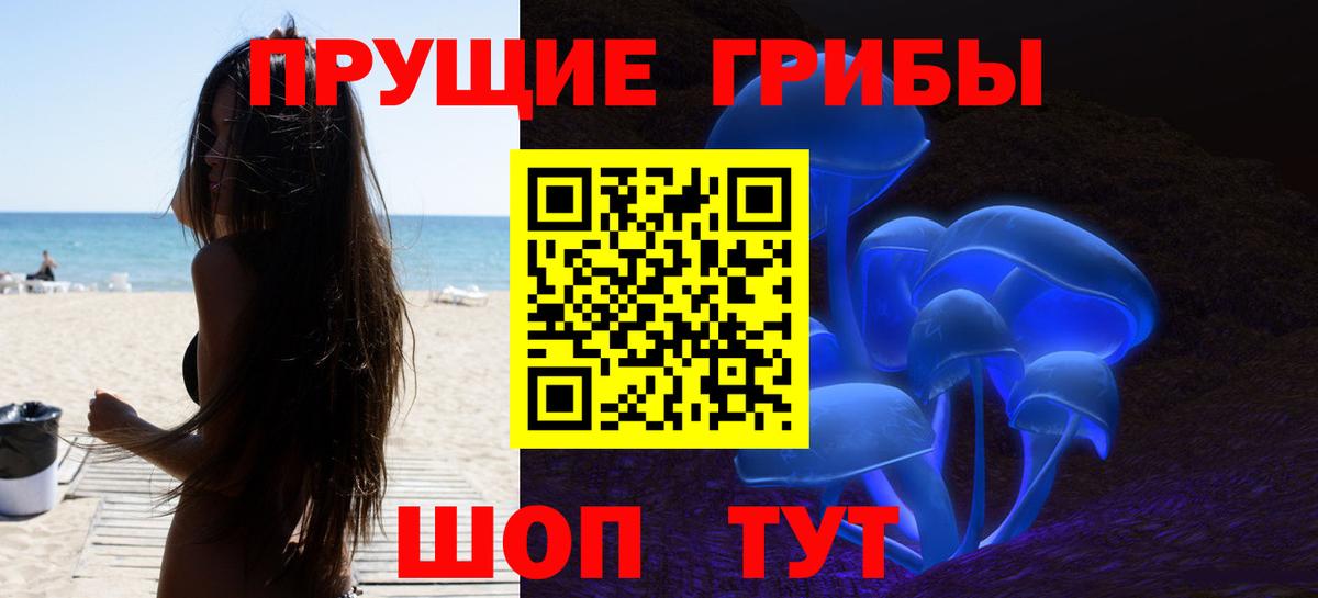 Псилоцибиновые грибы Cubensis  Вход с VPN  Шарыпово 